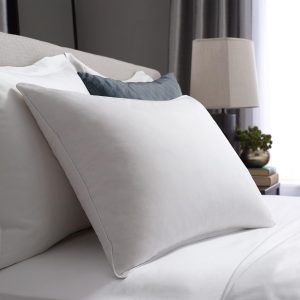 Hotel Double Touch of Down Pillow Standard/Queen (20” x 28”) – Pillow in A Pillow/ Down Feathers/Medium Support/100% Cotton/White